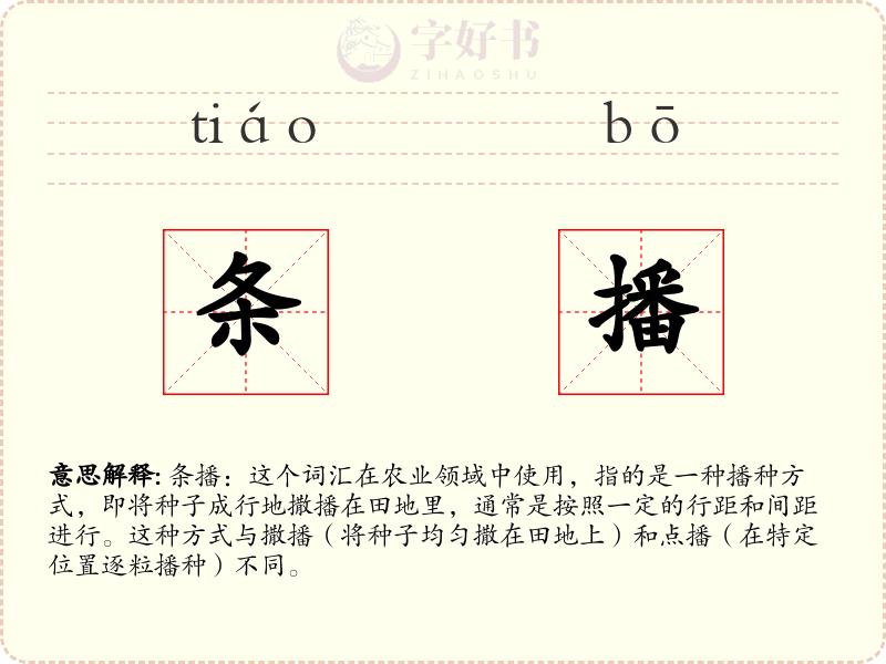 条播