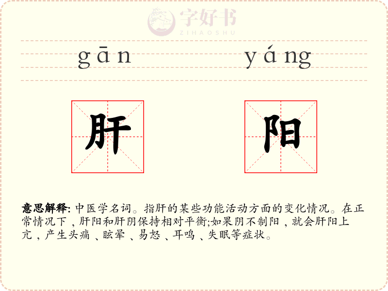 肝阳