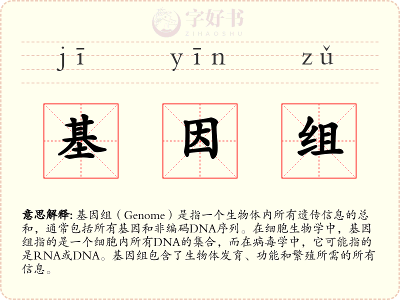 基因组