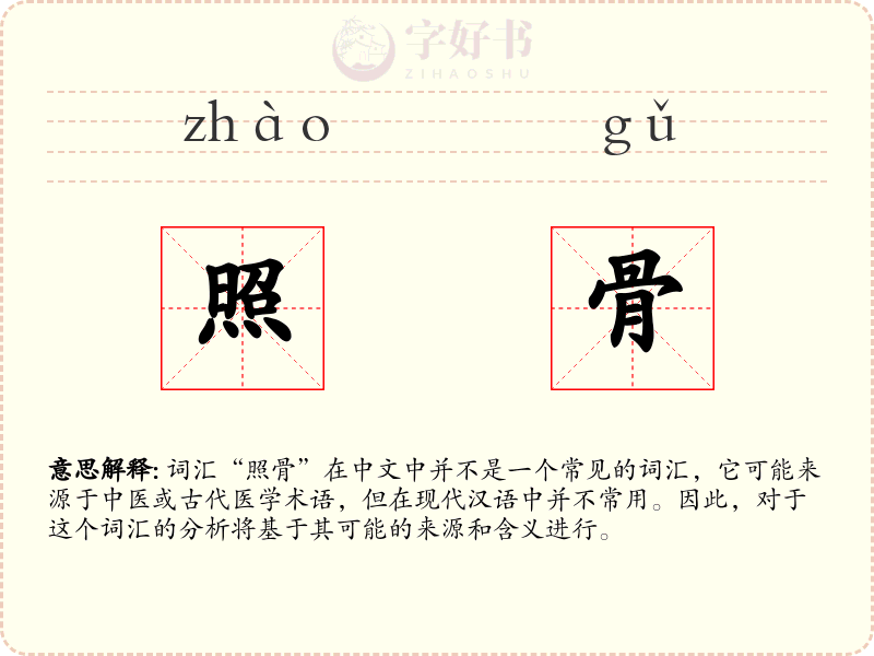 照骨