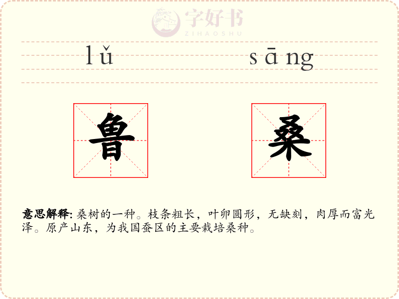 鲁桑
