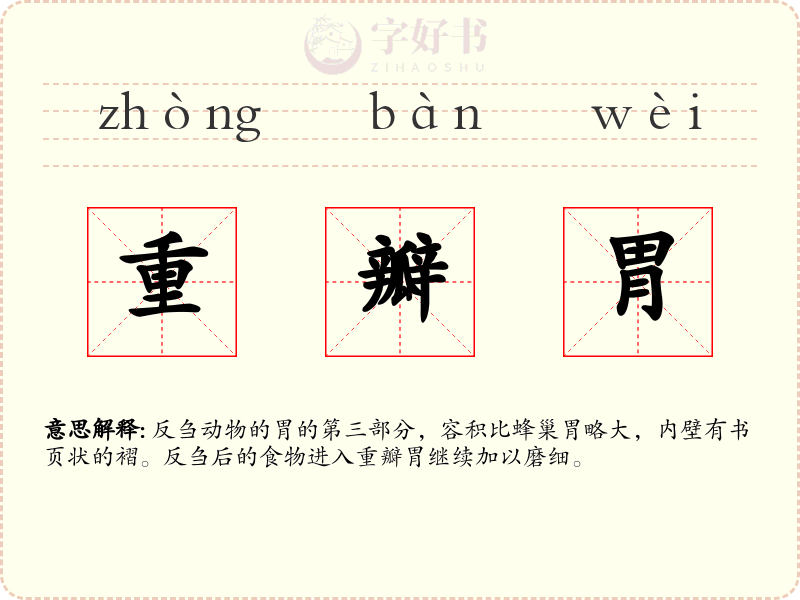 重瓣胃