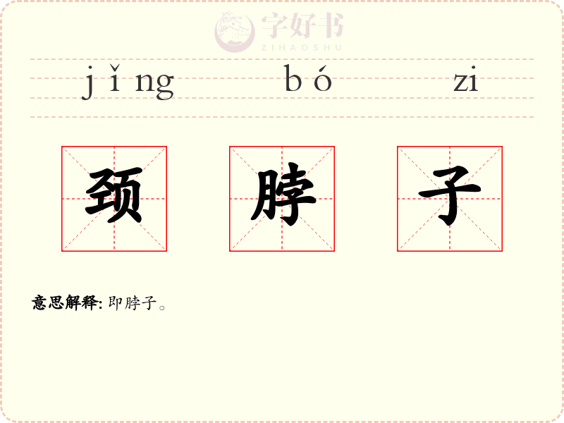 颈脖子