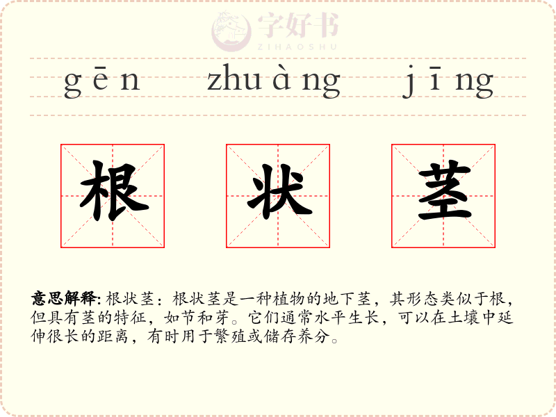 根状茎