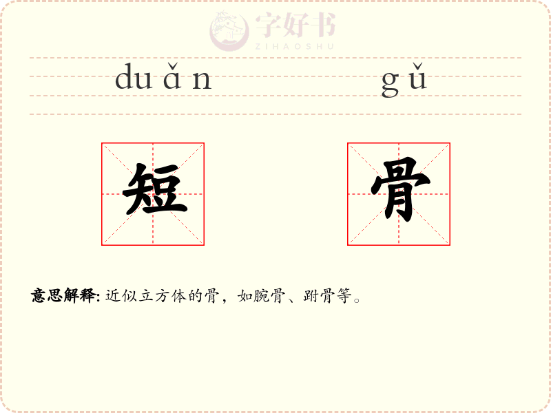 短骨