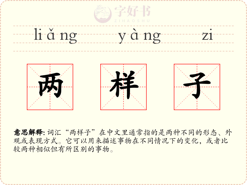 两样子