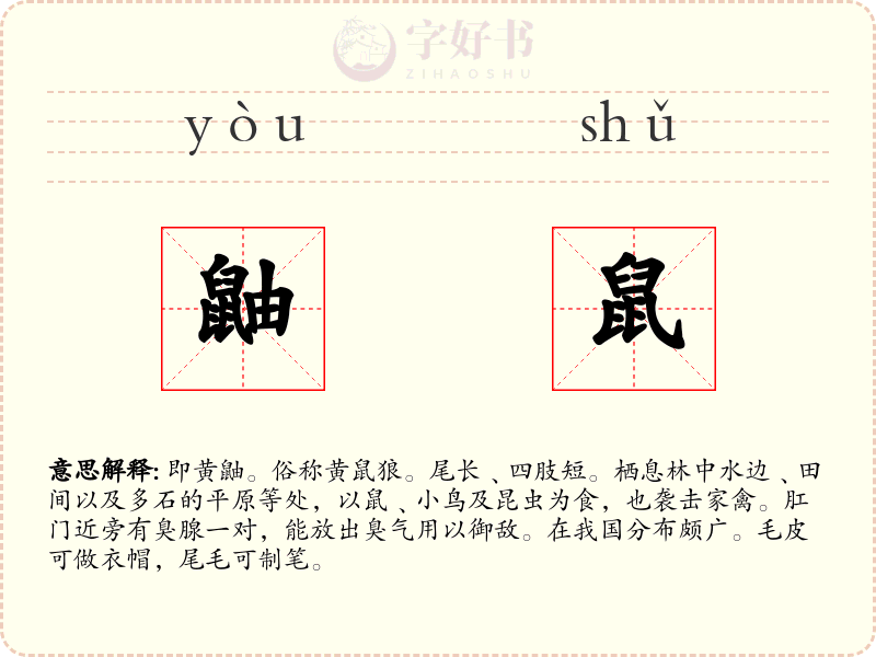 鼬鼠