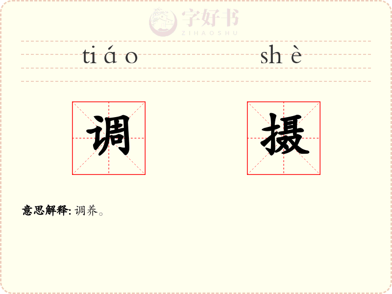 调摄
