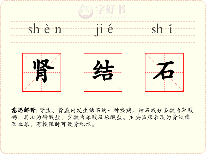 肾结石