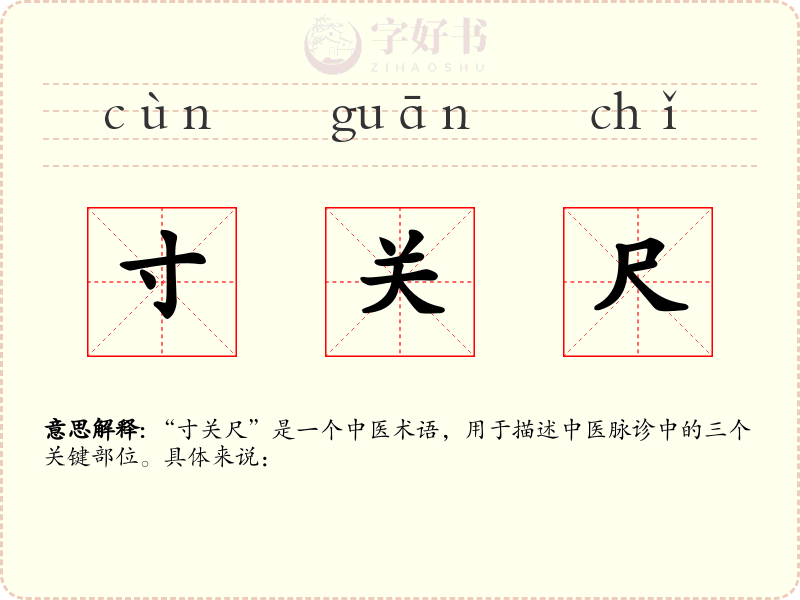 寸关尺