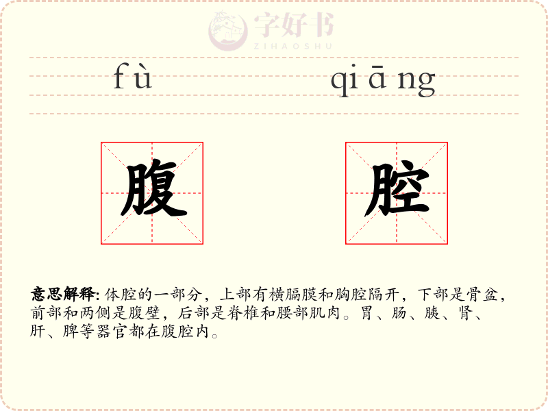 腹腔