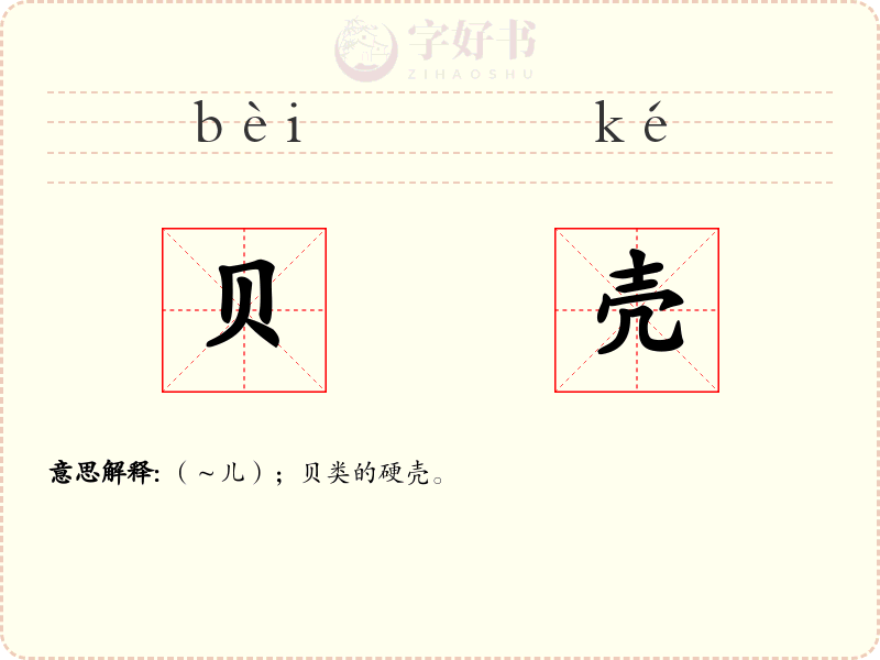 贝壳