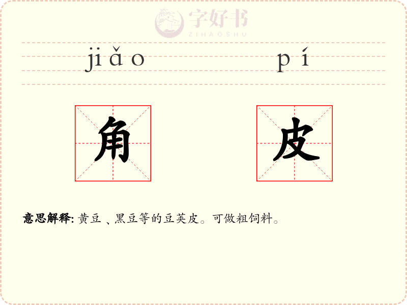 角皮