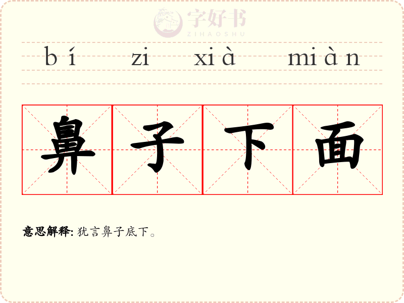 鼻子下面