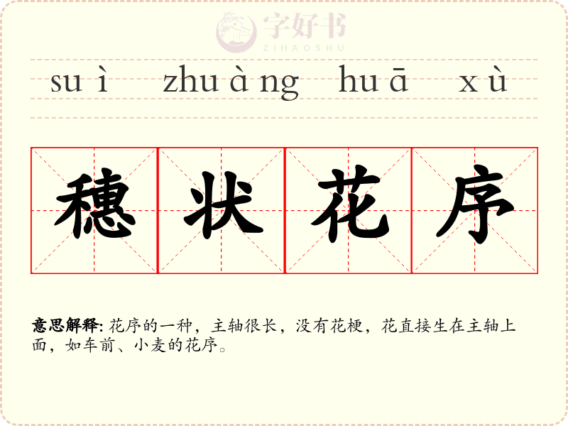穗状花序