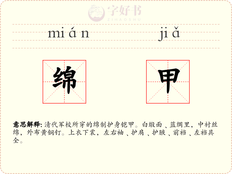 绵甲