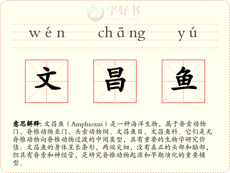文昌鱼