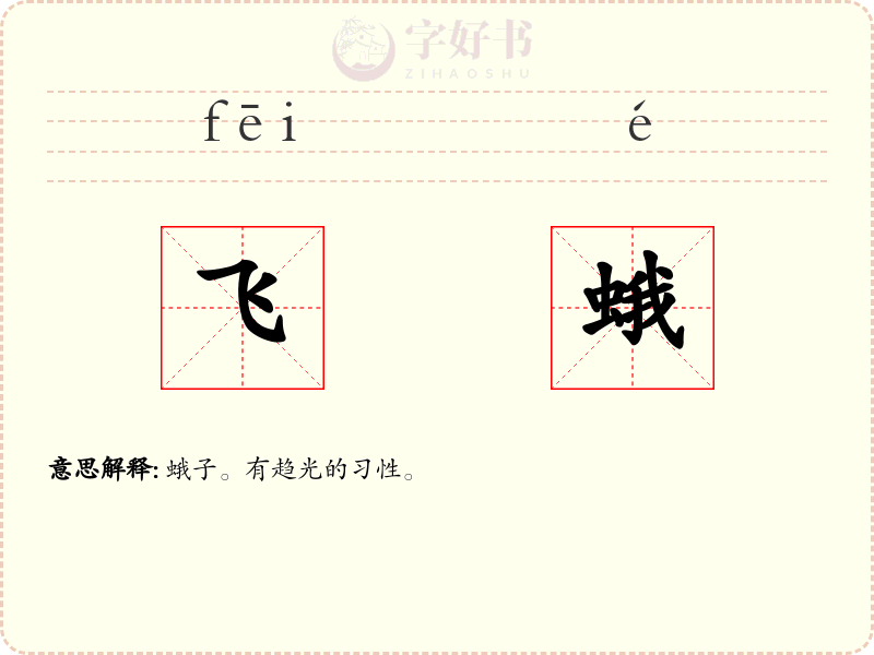 飞蛾