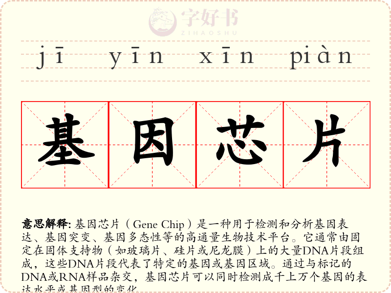 基因芯片