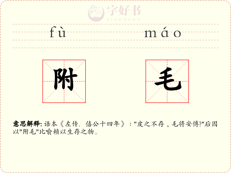 附毛