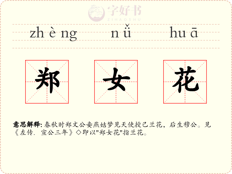郑女花