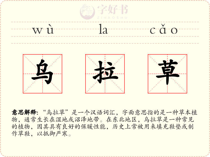 乌拉草
