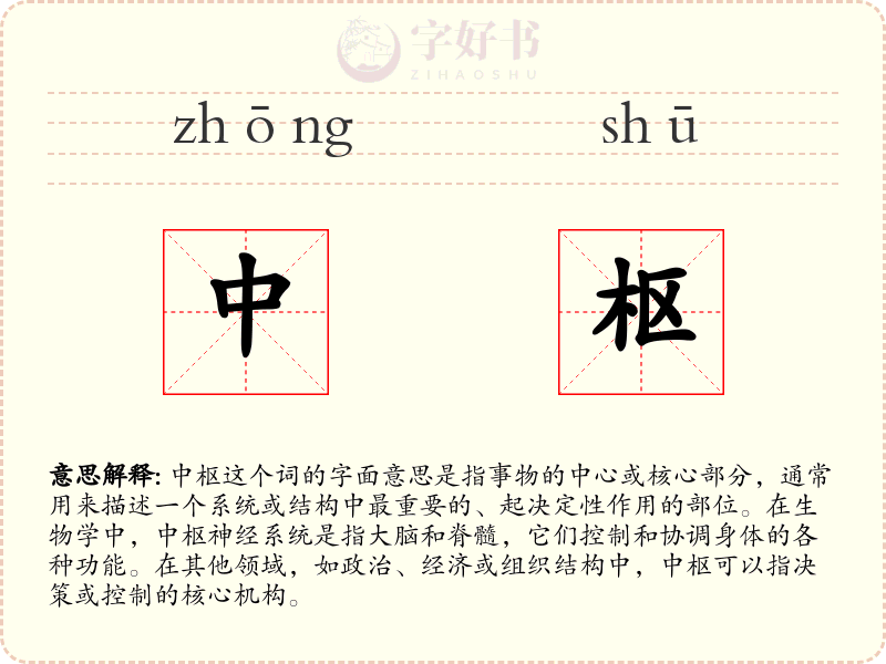 中枢