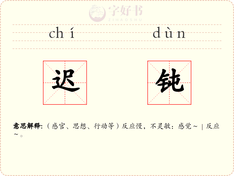 迟钝
