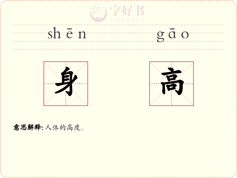 身高