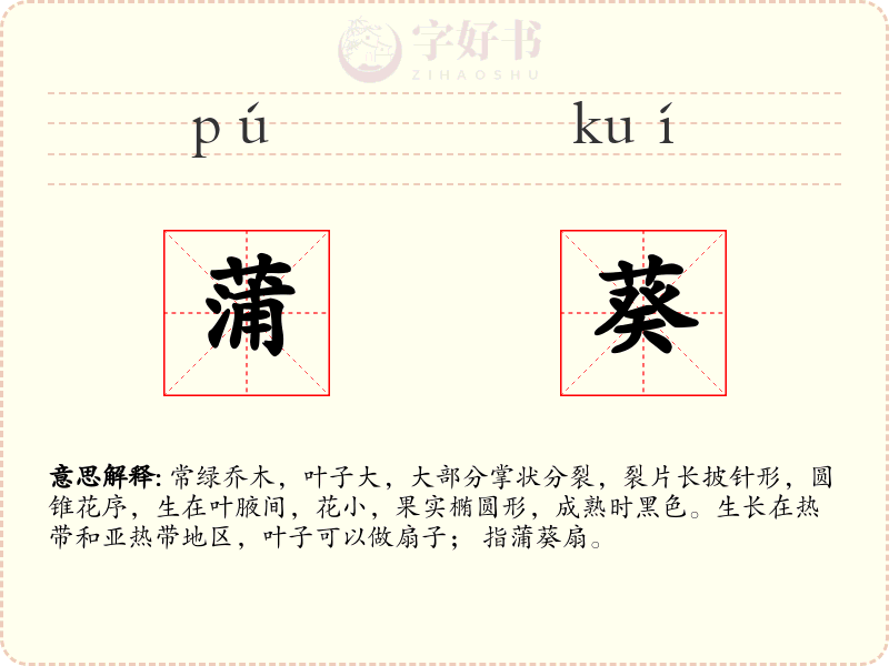 蒲葵
