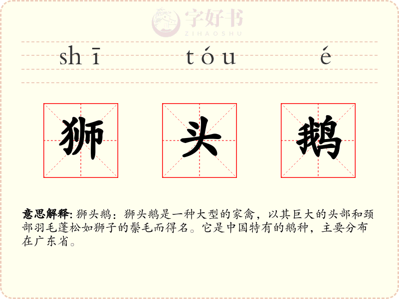 狮头鹅