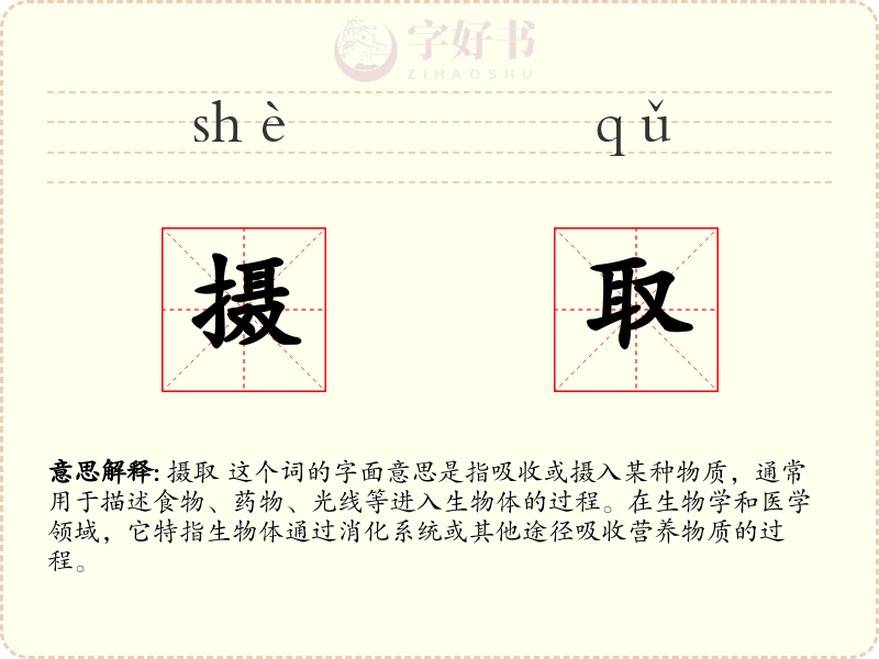 摄取