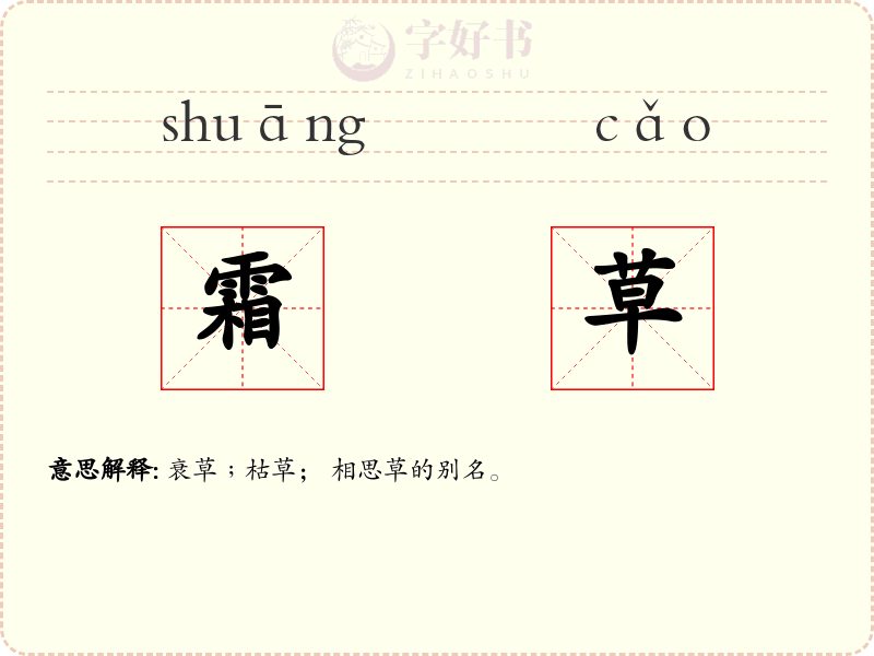 霜草
