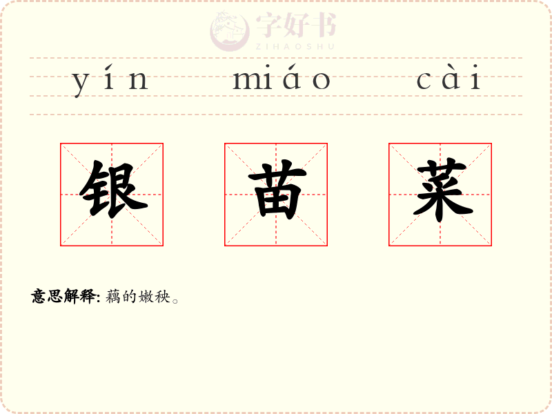 银苗菜