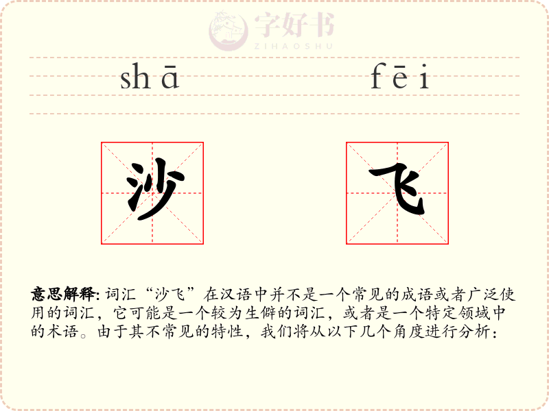 沙飞