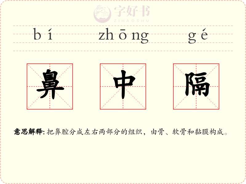 鼻中隔