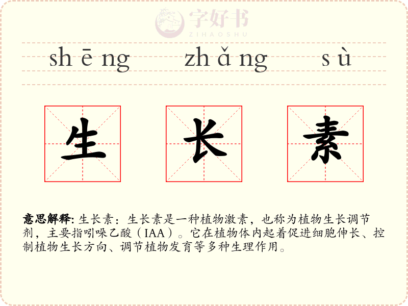 生长素