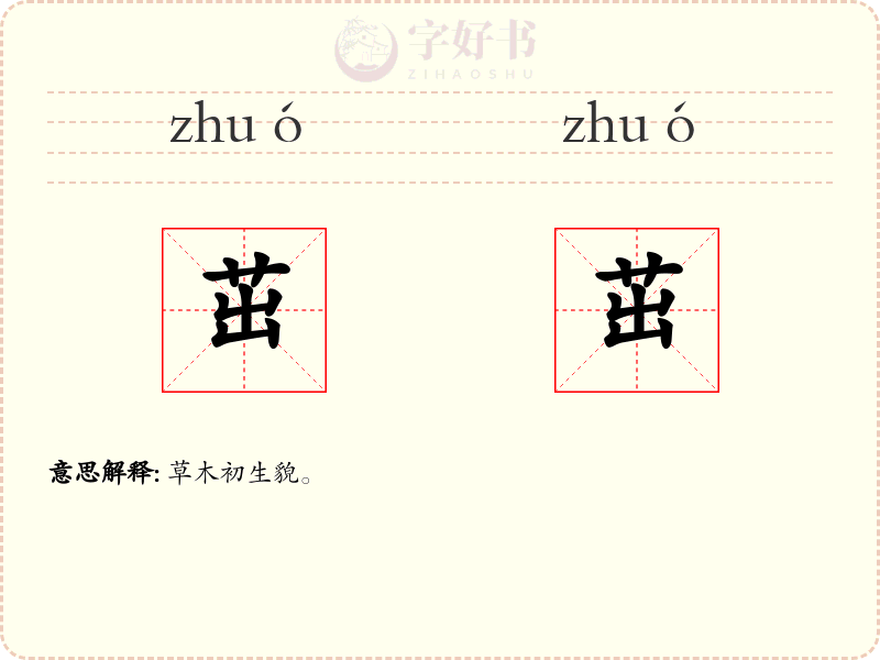 茁茁