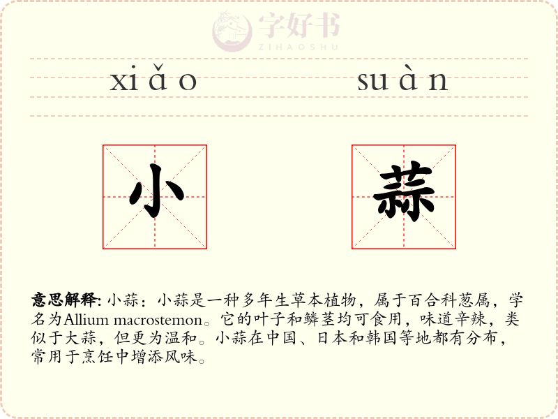 小蒜