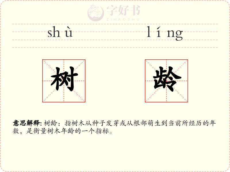 树龄