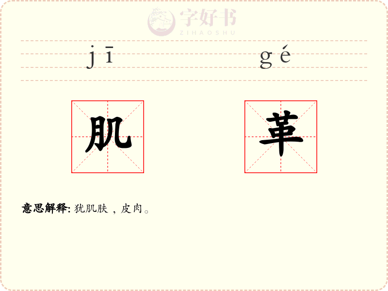肌革