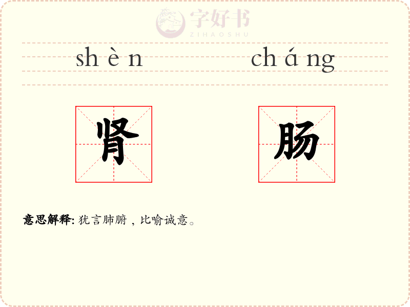 肾肠