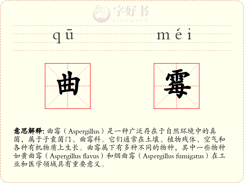 曲霉