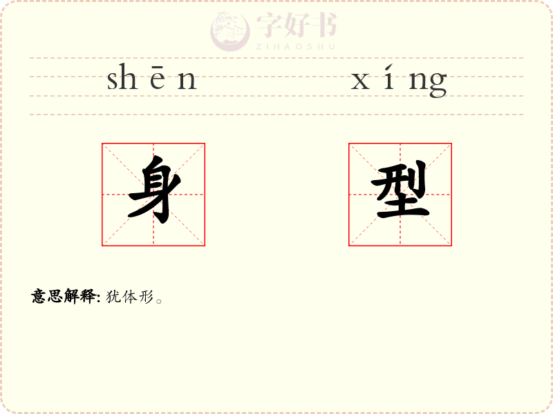 身型