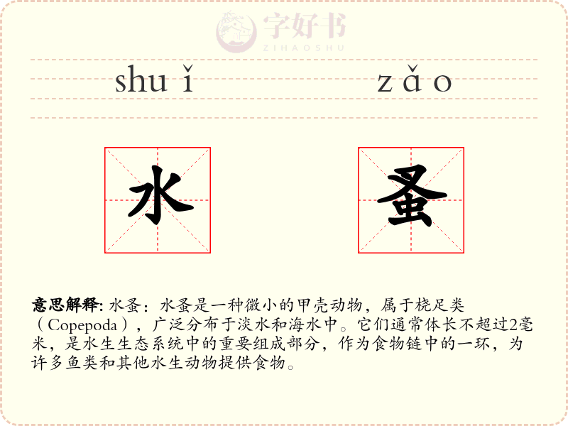 水蚤