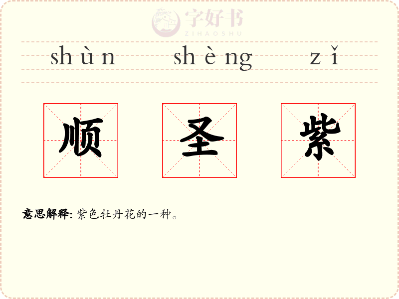 顺圣紫