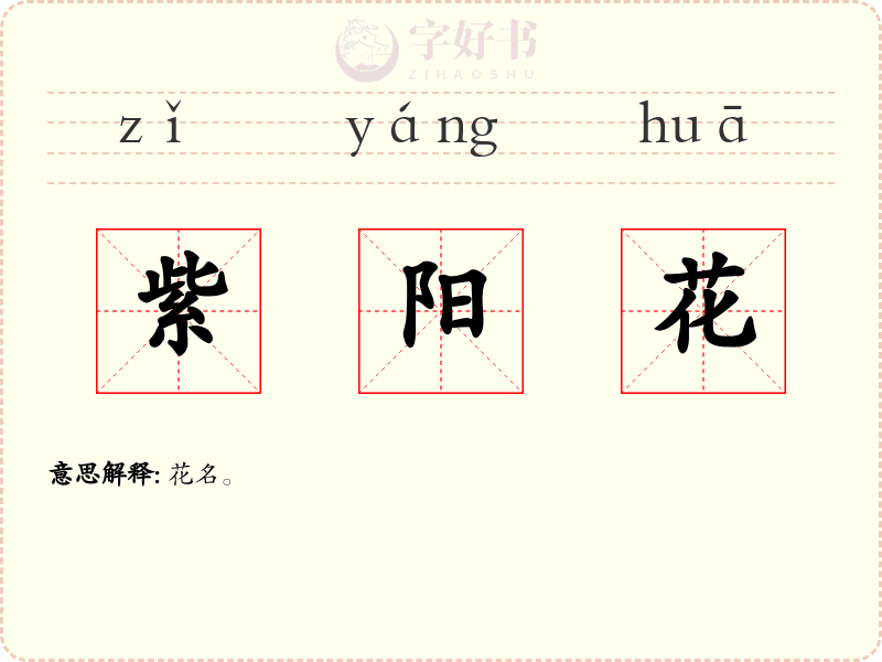 紫阳花