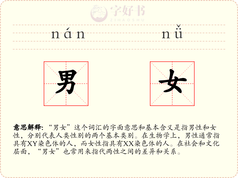 男女