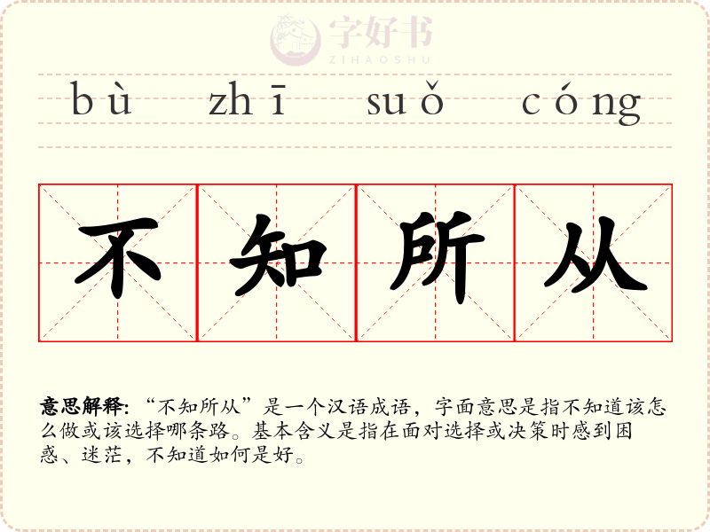 不知所从