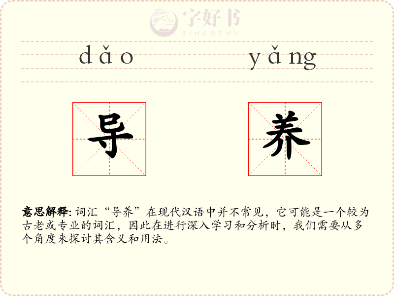 导养